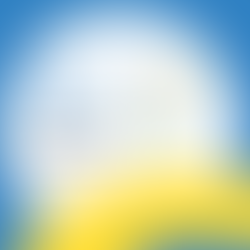 Informações aos delegados sobre acessibilidade