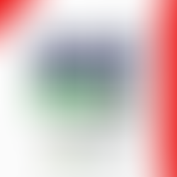 Resolução CNAS/MDS nº 215 atualiza normas e cronograma da 14ª Conferência Nacional de Assistência Social