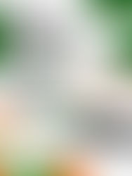 Adesão dos Conselhos Nacionais à Nota Pública de apoio à Imediata Aprovação da PEC 383/2017