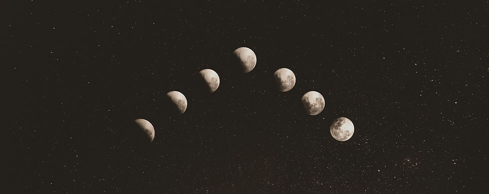 unsplash-LD8FhvuLiEA_edited_edited_edited.jpg