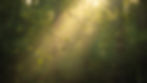 Lucid_Origin_Soft_moosgrn_forest_atmosphere_with_delicate_rays_2.jpg