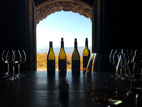 Glasses_Sonoma Valley.jpg