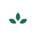 1726529808367.png