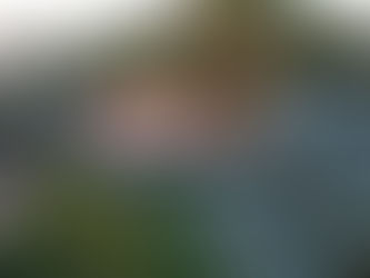 Aloha From New Zealand and Kauai