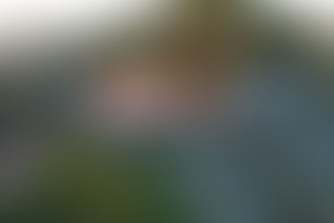 Aloha From New Zealand and Kauai