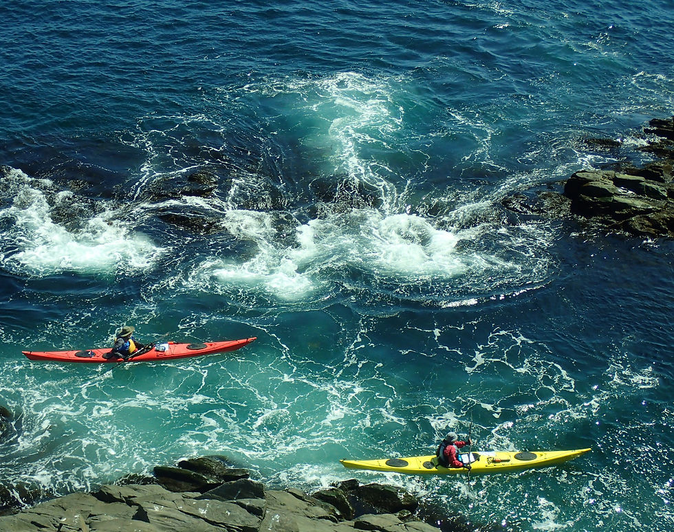 Banner%20Article%20home%20page_edited_edited