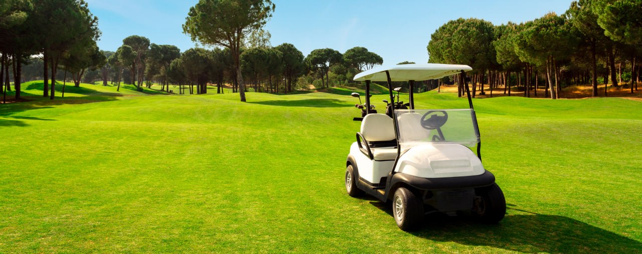 Electric golf cart