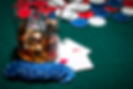 whisky-glass-with-ice-cubes-gambling-table.jpg