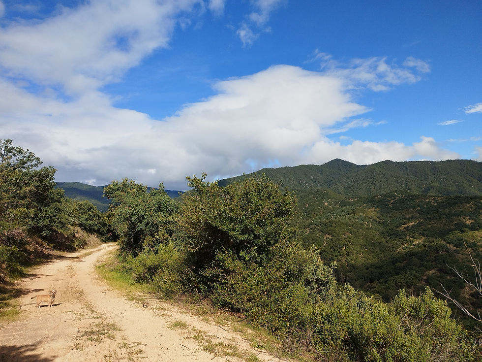 Hike -Suchilquiltongo