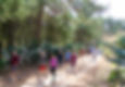 Hike - Cuajimoloyas to Llano Grande