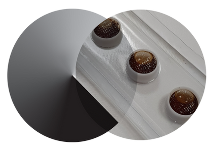 CAPSULES & MICRO-BLISTERS