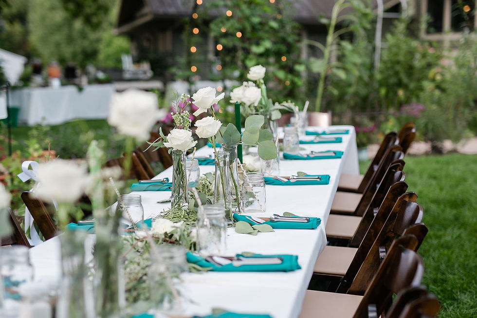 Illinois backyard summer small mini wedding