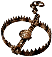 bf9a45e1e4ba25653066612b032058ec_edited.