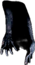IMG_4517_edited_edited.png