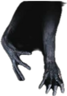 IMG_4516_edited.png