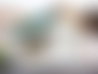 オープンしました