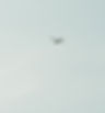 R5kGrain_Marte Thoresen-06874_edited.jpg