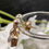 Thumbnail: 9ct Yellow Gold Moonstone Eardrops