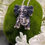 Thumbnail: Silver Crystal Set Elephant Brooch/Pendant