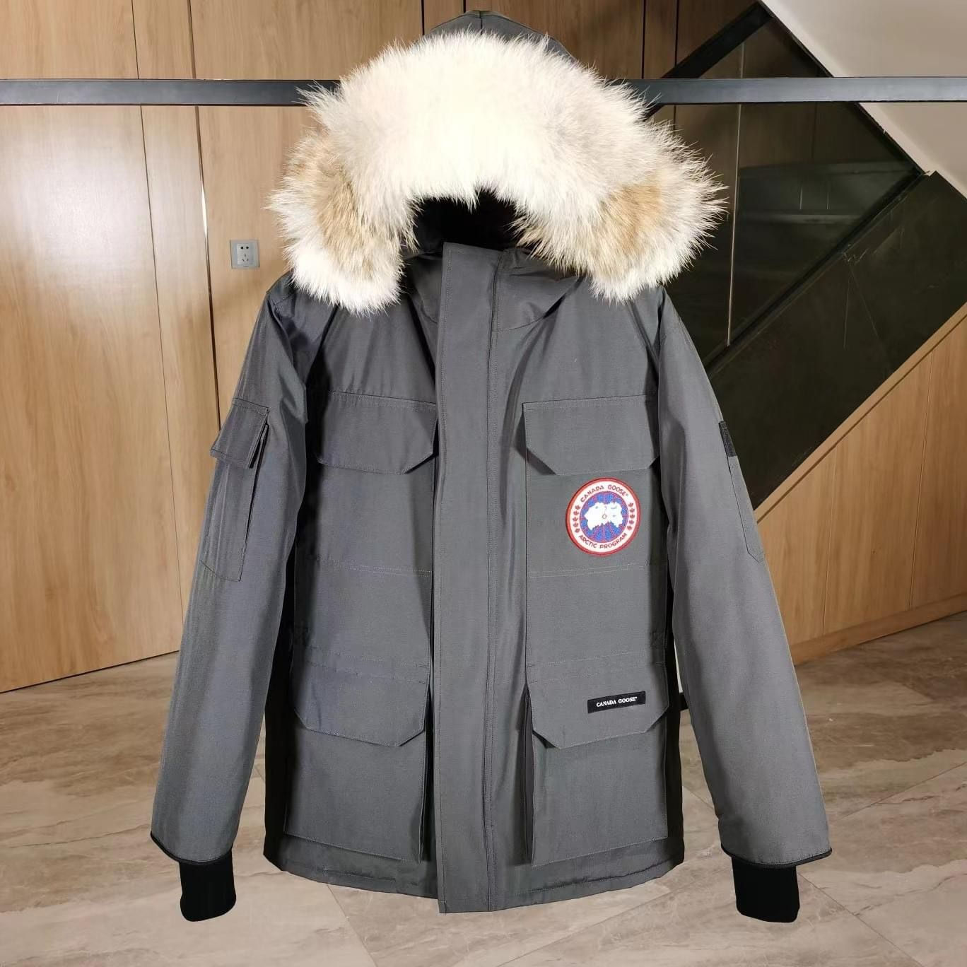 Canada goose northan face