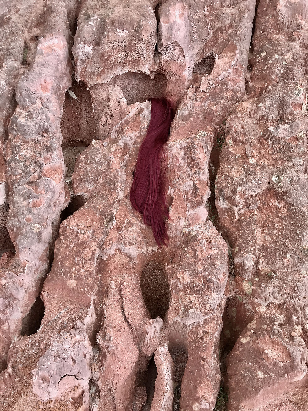 Minha selvagem expandida #1