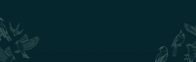 Untitled-5.png