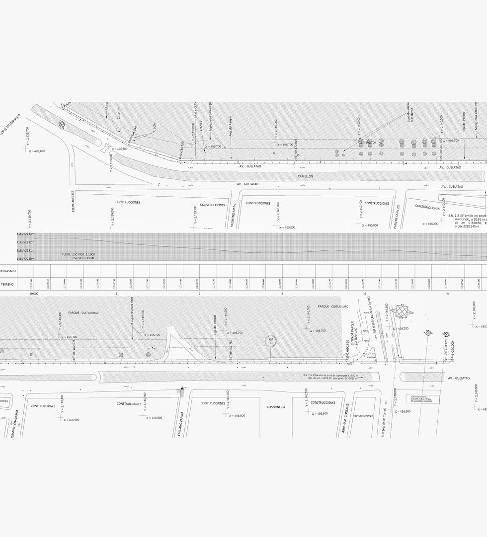 Levantamiento Parque Cuitláhuac