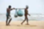 Men walking on beach with stick