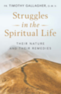 Struggles in the Spiritual Life book cover