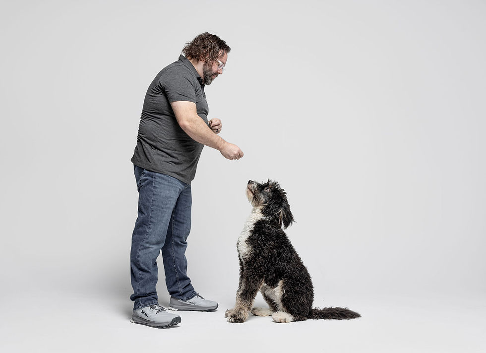 DoggieConcierge_Murray21.jpg