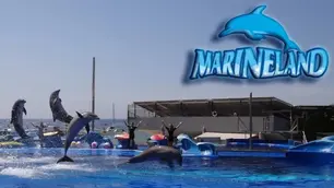 photo du parc marineland