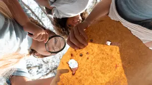 Activité à Magaluf : faire une chasse au trésor pour (re)découvrir la ville.