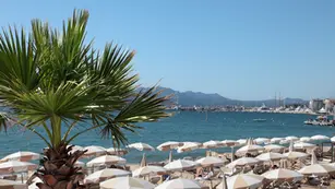 Sa Porrasa, l’île mystérieuse de Magaluf entre nature et légendes.