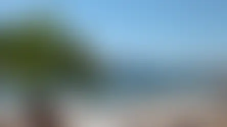 Sa Porrasa, l’île mystérieuse de Magaluf entre nature et légendes.