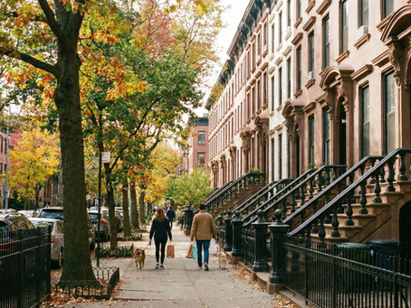 案例分享：布鲁克林的住宅贷款
