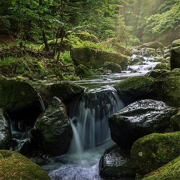 magischer Platz des Elements Wasser zum Innehalten in der Jahreskreis Wanderung Ostara