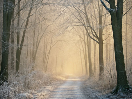 Naturpfad Jahreskreis