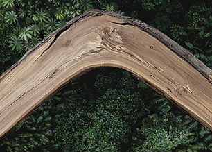 spalted cherry live edge