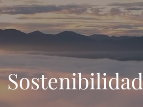 De la hospitalidad al impacto: cómo Apartamentos Turísticos Tresanea convierte su propuesta en valor con propósito.