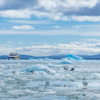 PN Laguna San Rafael