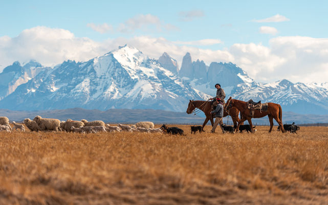Un territorio fascinante con una cultura única en base a la vida de las Estancias.