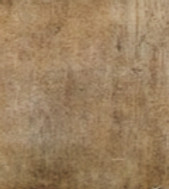 Parchment_edited_edited_edited.jpg