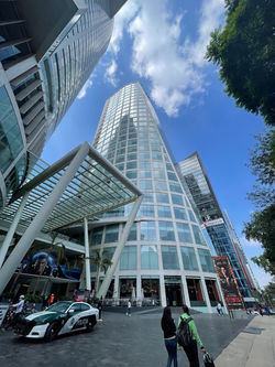 Reforma 222