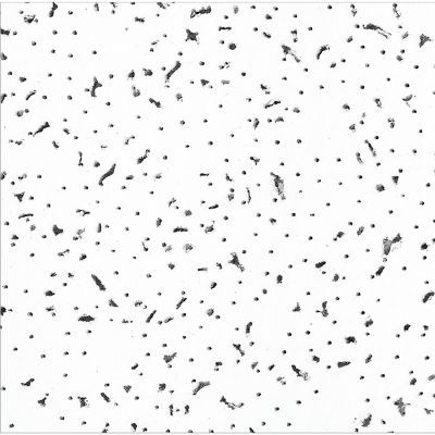 Plafón Acust GB 0.61x0.61 (10pzas x caja)
