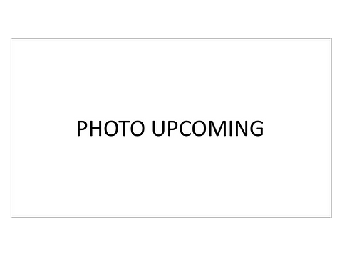 Holiday Meet and Greet