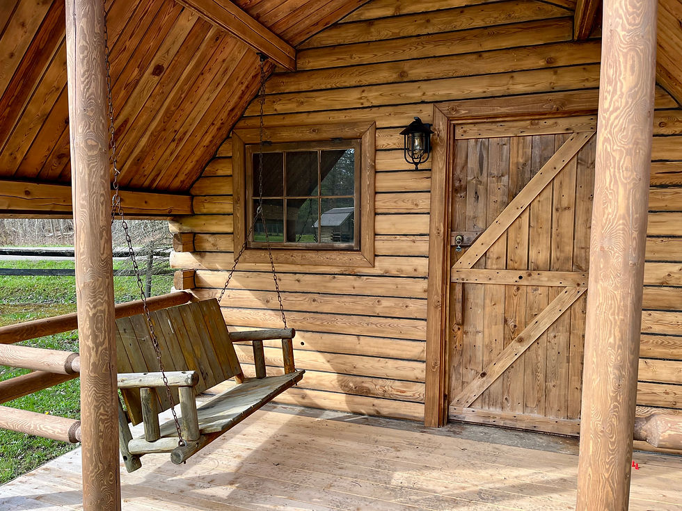 Covered porch swing