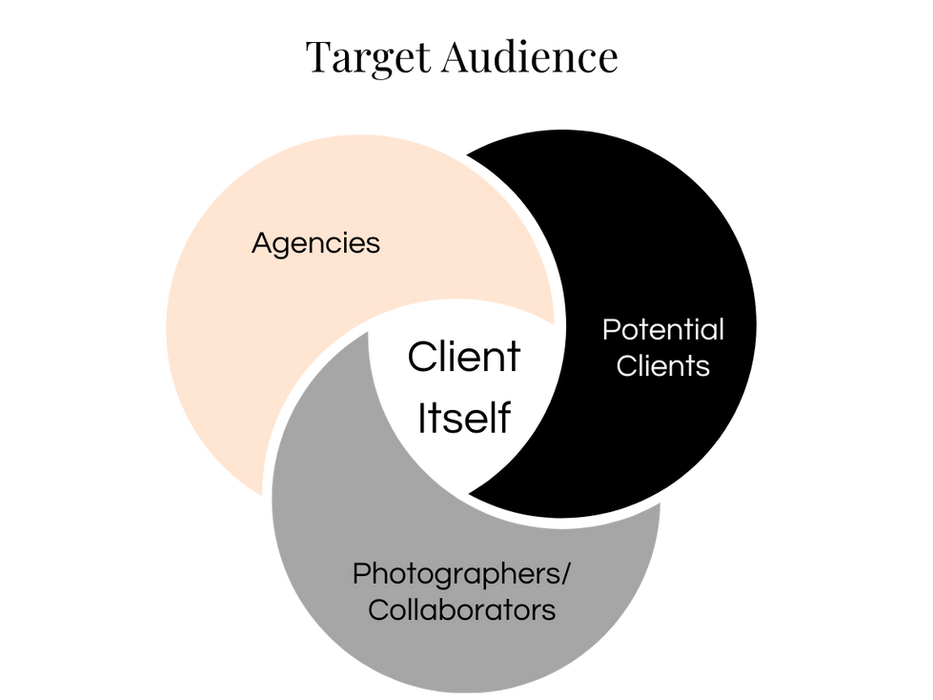 Target Audience Venn Diagram