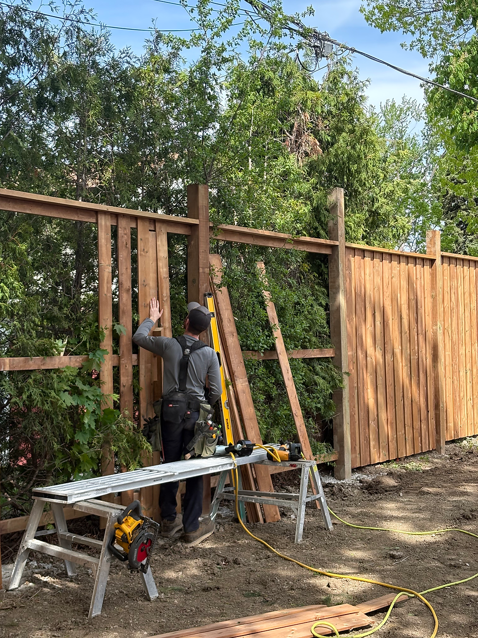 Carpenter building new wood fence