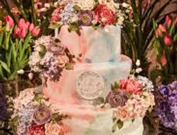 debutantes.jpg