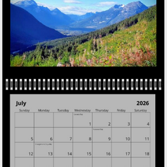 meadow and mountain range